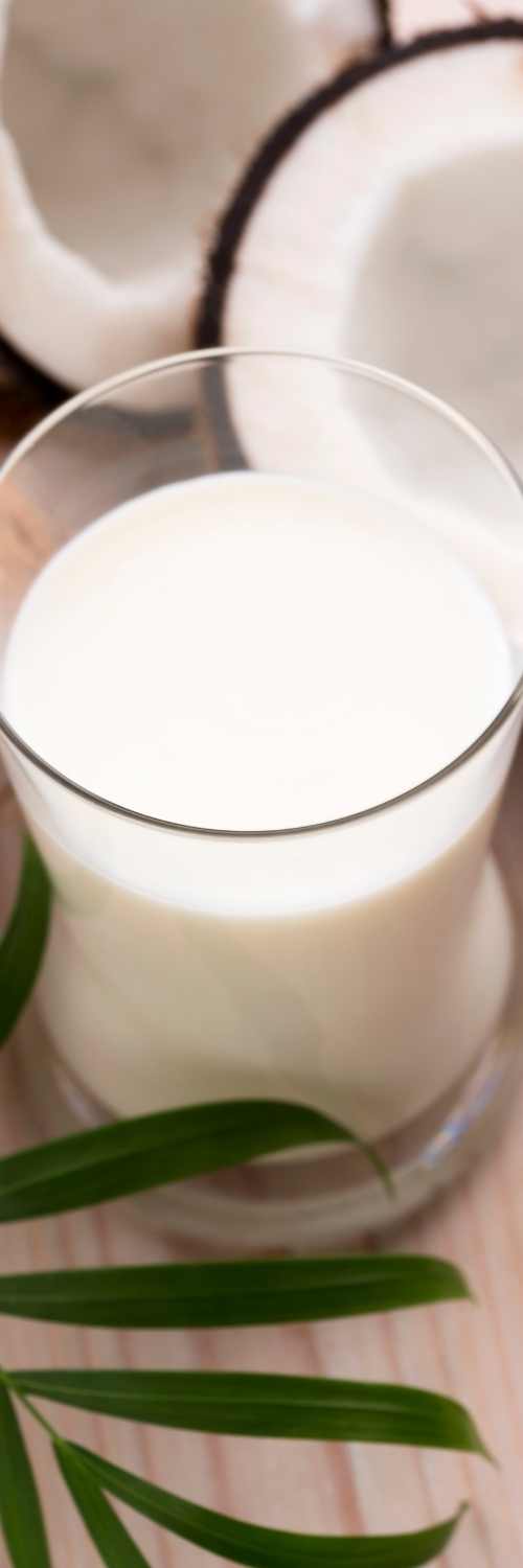 Easy Coconut Milk Recipe {5-minutes}